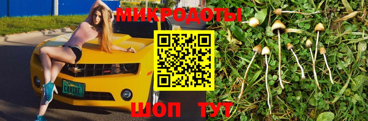 Галлюциногенные грибы MAGIC MUSHROOMS Грозный