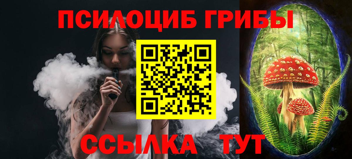 Псилоцибиновые грибы GOLDEN TEACHER  Вход с VPN  Грозный  Галлюциногенные грибы GOLDEN TEACHER 